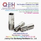 QBH SS 304 S.S. 316 Stainless Steel Drop In Expansion Anchor Bolts