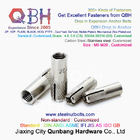 QBH SS 304 S.S. 316 Stainless Steel Drop In Expansion Anchor Bolts