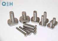 Non-standard metric T bolt, stainless steel T bolt 304 316 A2-70 A2-80 A4-70 A4-80