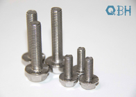 Carbon Steel DIN6921 Metric A2 80 Stainless Steel Flange Bolt