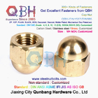 QBH M4-M24 Carbon/Stainless Steel/Brass/Copper/Alloy Plain Black Yellow Blue Zinc Nickle Auto Part Cap Acorn Lock Nut