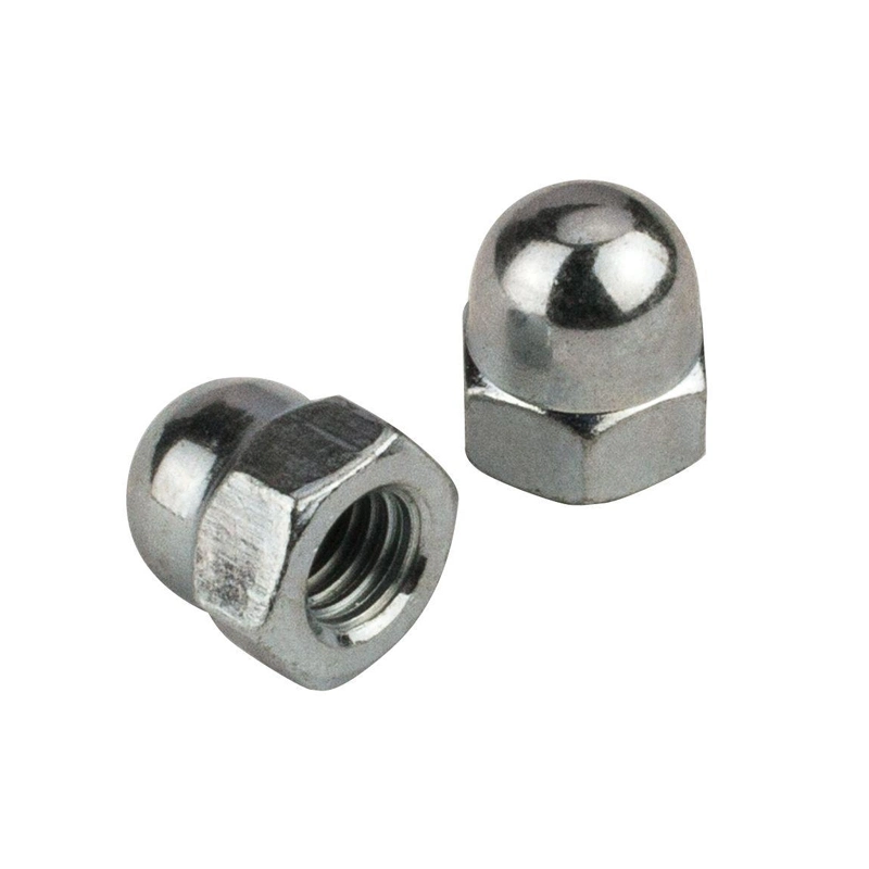 DIN1587 Stainless Long Small Hex Head Domed Cap Nut for Decorative Cars Motorcycle
