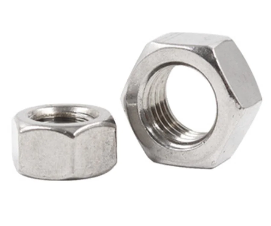 Stainless Steel Lock/Nylon Nut 304 Nut