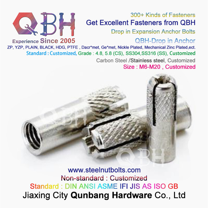 QBH SS 304 S.S. 316 Stainless Steel Drop In Expansion Anchor Bolts 0